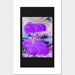 Purple Yarrow-Available As Art Prints-Mugs,Cases,Duvets,T Shirts,Stickers,etc Posters and Art